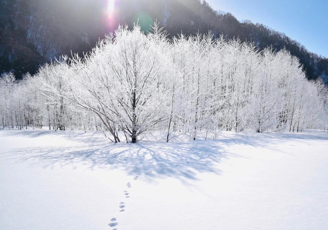 筋肉と自然と遊ぶ宿 田島館 Takayama (Gifu) Exterior foto